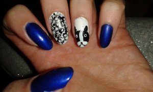 11356266_1598899197052582_437589566_n