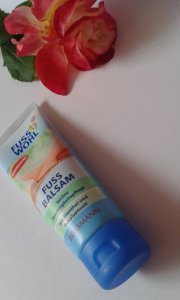 11418361_1600055663603602_304774151_n