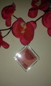 11420059_1598899280385907_463255471_n