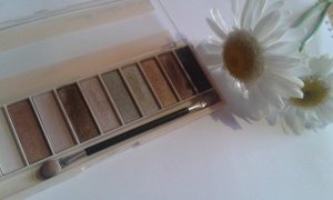 11425324_1600888746853627_1418635361_n