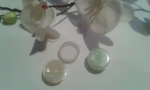 11721370_1608189476123554_1327311341_n