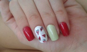 11733223_1608174862791682_592594350_n