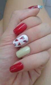 11736916_1608174869458348_1743045620_n