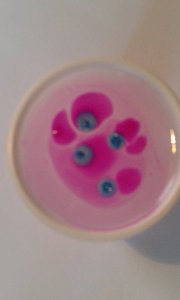 11815910_1615237378752097_981979464_n