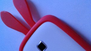 11749387_811676862278862_1235814278_n