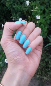 11850797_1616826618593173_681293554_n