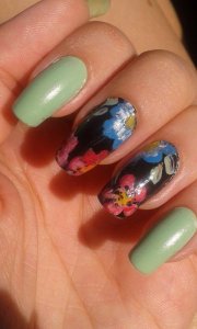 11857517_1619041511705017_153505636_n