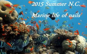 marine life of nails.