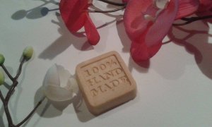 11419915_1630591937216641_1131721779_n