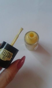 11950829_1624492537826581_673836255_n