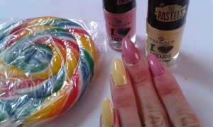 11992528_1628632614079240_2050210842_n