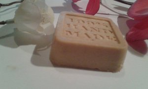 11995552_1630591893883312_521602629_n