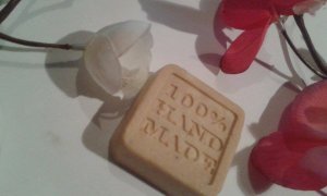 11995699_1630591907216644_1998189938_n