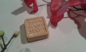 11997945_1630591983883303_1766465951_n