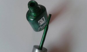 12016493_1630591397216695_498072247_n