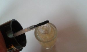 12023198_1630591393883362_998940447_n