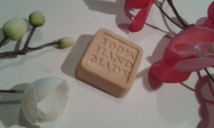 12023250_1630591993883302_789070289_n