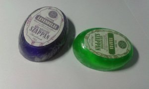 12029176_1631540920455076_326324726_n