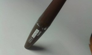 12033274_1631539900455178_1021702510_n