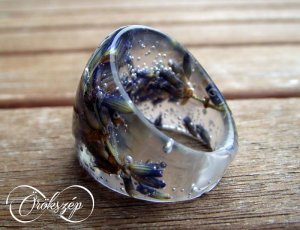 12068608_1625411304378873_2311719593642088829_o