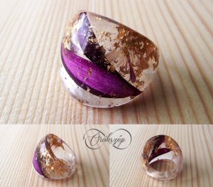 12080109_1628178244102179_8439164776787006024_o