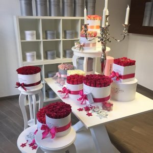 11221582_1710502069181542_8696802918707609731_n