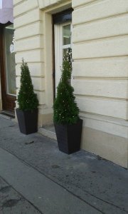 12459922_1662070780735423_936272176_n