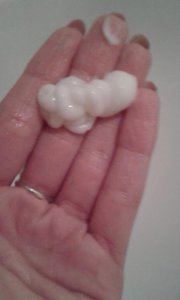 12665609_1672661239676377_937728563_n (1)