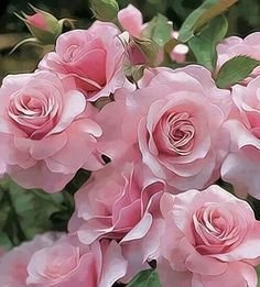 724921de2de010e30bf934f81ab09db9