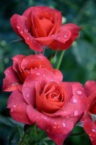 ec61820ae7b6e88e8a6861e9e69d9e0e