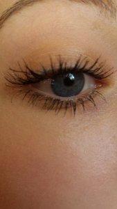 13563154_1733899703552530_653655981_n