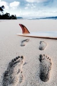 91c8b169ce9764e12c3765650f839bcc