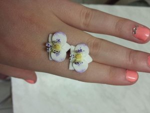 13062184_264281000581699_8484544486373567824_n