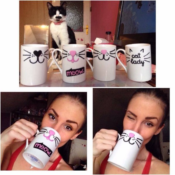 13900608_547772325410264_2046548599_n