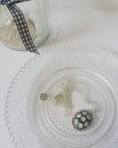 13918959_1747031858905981_656111294_o