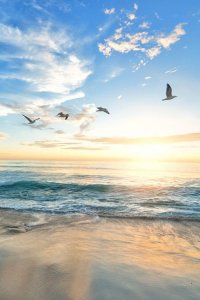 61e8c5b64cc68549d347b36f882fa8d7