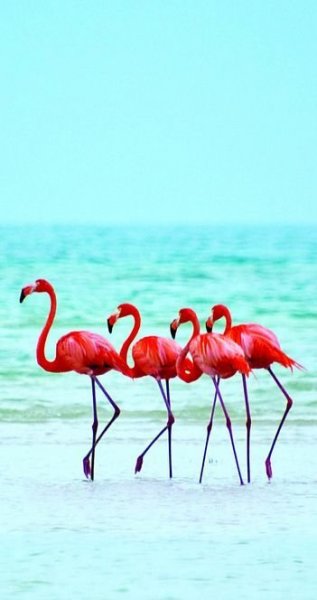 636c3590d74d6d5d393ec4b000f55dfd