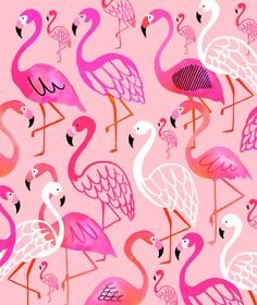 b12da5c86efc95c7c8f869c0792da5f7