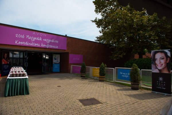 avon-q4-tihany-4