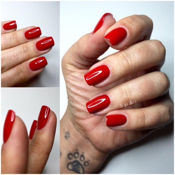 13220908_1083032405076412_1993207889385255626_n