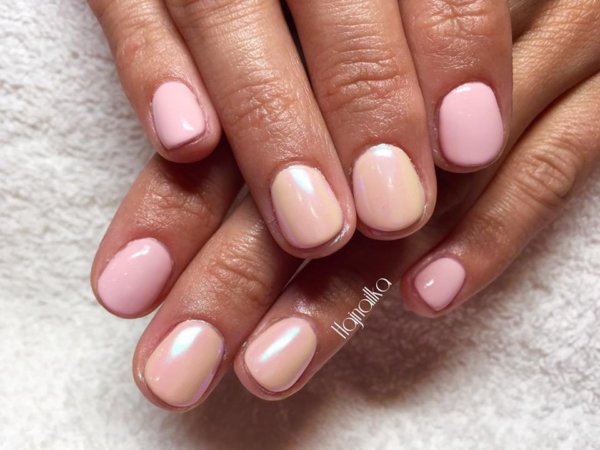 14680639_1195646900481628_6679697431973670687_n