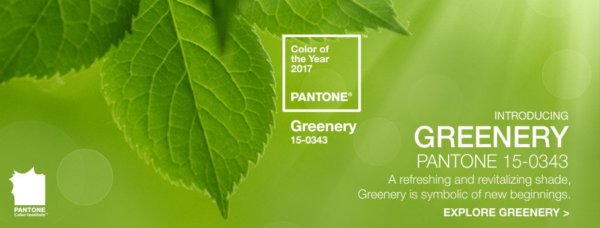 pantone-color-of-the-year-2017-greenery-15-0343