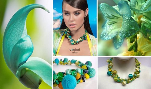 13620736_1052049734871561_7562720915044904553_n