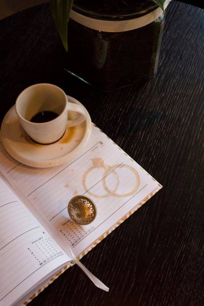 15970259_951989054902336_995363572_n