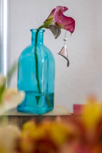 15970414_951991701568738_198691398_n