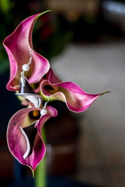 15978839_951989034902338_1387240953_n