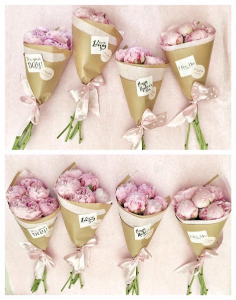 13124995_1172574236117021_8944724916318807820_n