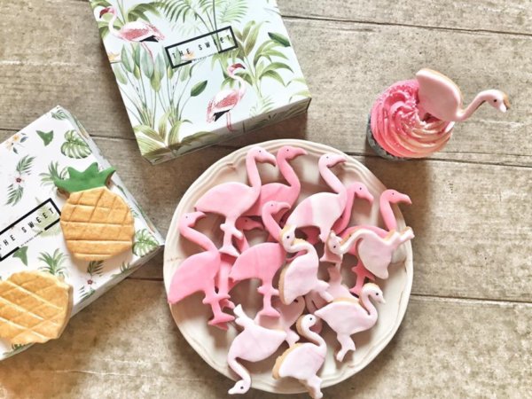 13239223_1783643918539607_4659046109262480682_n