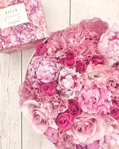 13240606_1192209684153476_6829282636515982059_n