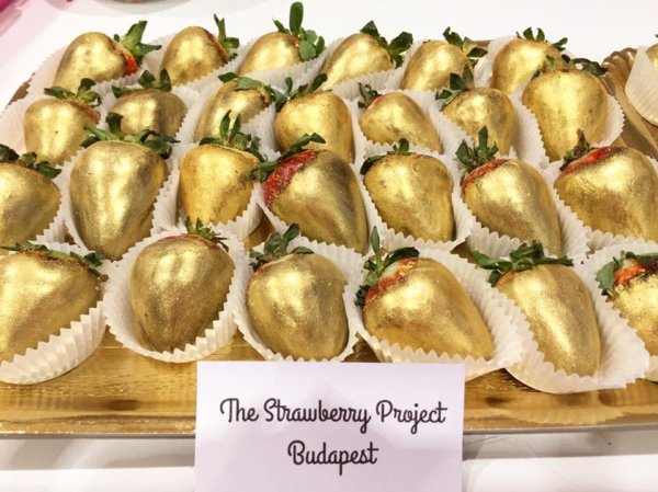 15327337_567488030112300_6982365825437342992_n